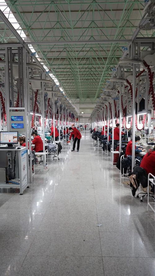 全面復產(chǎn) | 濟寧企業(yè)復工首日即完成首批海外鞋帽訂單