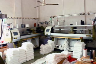 志豐針織時裝廠 專業(yè)印花毛衣系列，歡迎來樣來圖訂貨